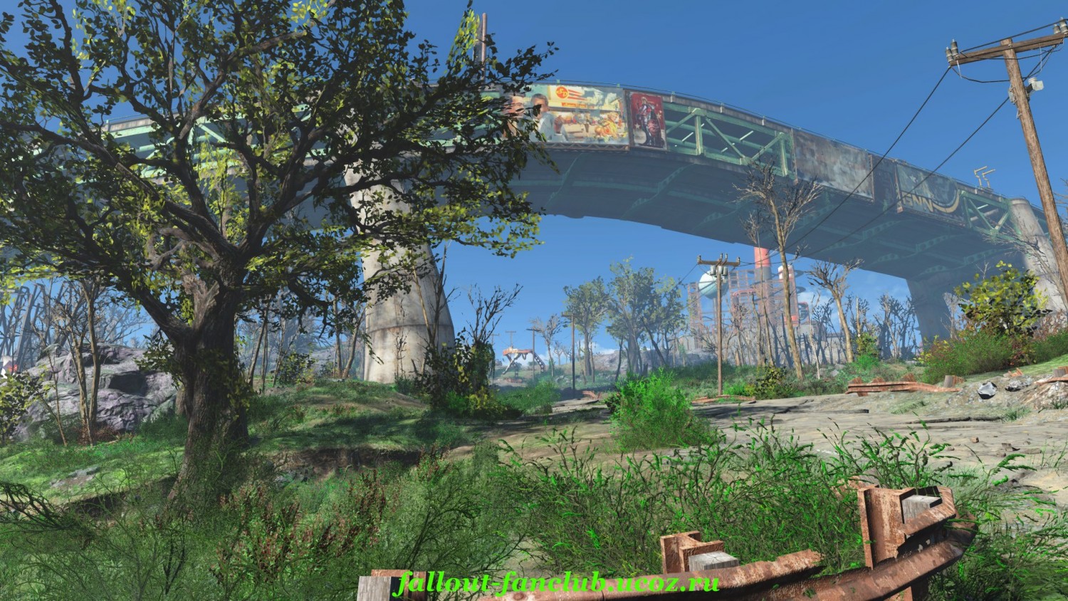 Fallout 4 деревья и трава фото 12